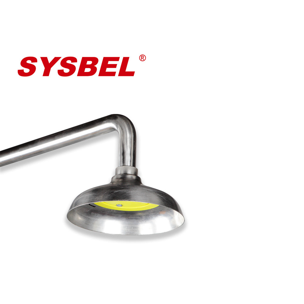 SYSBEL WG7053F Stainless Steel Emergency Shower and Eyewash Combination Unit